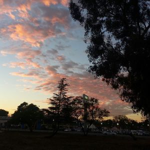 Meet your Posher, Marvin